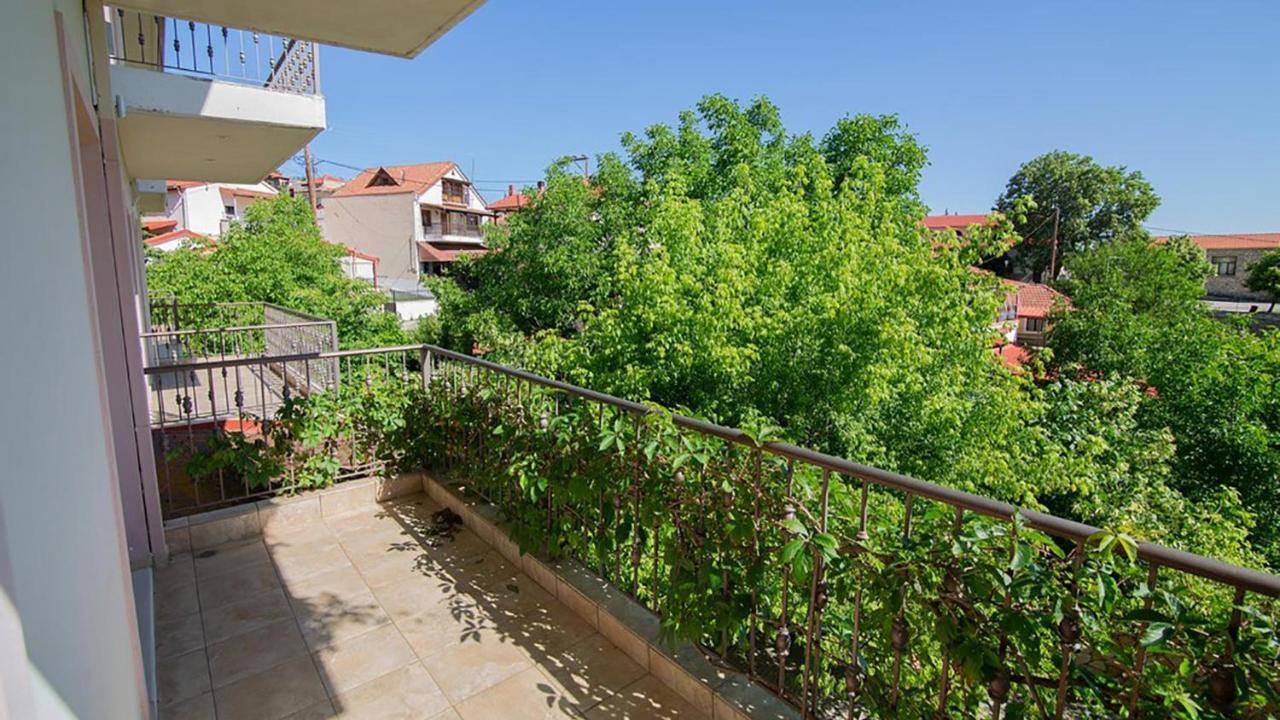 Ξενώνας Μενελαΐς - Menelais Apartments Thrapsímion エクステリア 写真